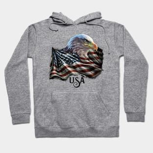 Eagle Flag with USA Hoodie